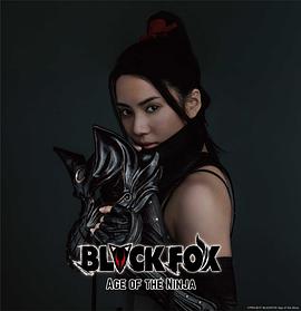 黑狐：忍者时代 BLACKFOX： Age of the Ninja